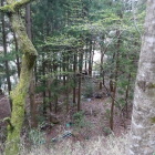 バンガロー跡（二郭）