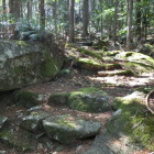 155号線に通ずる石段