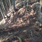 西の城堀切２条目