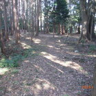 二の曲輪内部を東方向へ