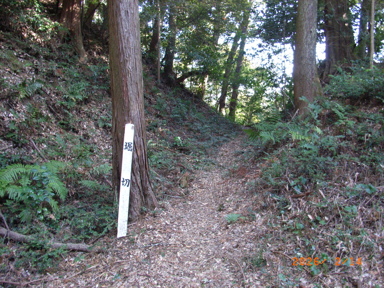 大堀切南方向、本曲輪二の曲輪間