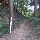 大堀切南方向、本曲輪二の曲輪間