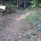 同左の北側北は大手道に続く、手前虎口