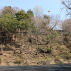 南の丸Ⅰ駐車場より見上げる本丸東の丸南面