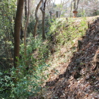 本丸東土塁・石垣もスッキリ北から南へ
