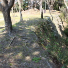 本丸東土塁・石垣上南から北へ