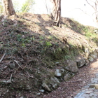大手道東の丸Ⅰ内法面