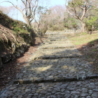 植生整備伐採された大手道