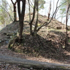 同左北法面奇麗にスッキリ