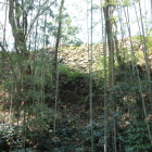 本丸東土塁・石垣を大手道から見上げるスッキリ