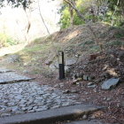 大手道東の丸Ⅱ植生伐採