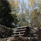 天守台裏手の大島桜２代目白い花が咲いている