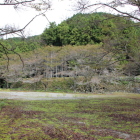 本丸広場越しに別館上段郭を見る