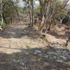 同左南より見る