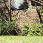 二の丸南土塁切岸法面もスッキリ