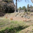 二の丸石垣から本丸・天守台がスッキリ見通せる