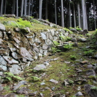 西虎口搦手裏門北側石垣