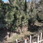 二の丸と三の丸の間の空堀