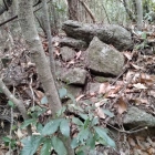 大手道脇の石垣