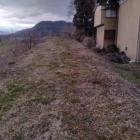 二の丸西の土塁