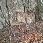 西御殿下の堀切