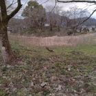 北側から本丸を望む