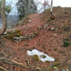 本丸の搦手側堀と土橋