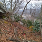 本丸切岸と横堀