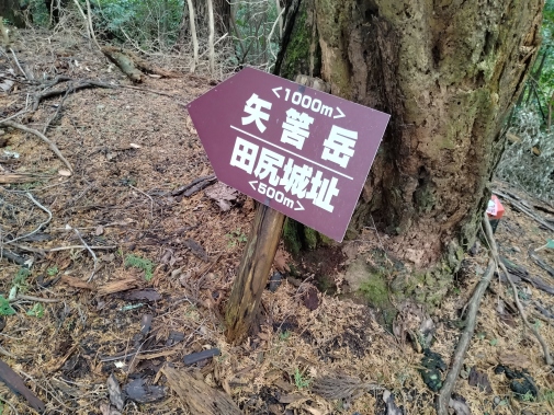 しんちゃんさんは矢筈岳まで行ったのね