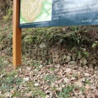 主郭法面石垣跡