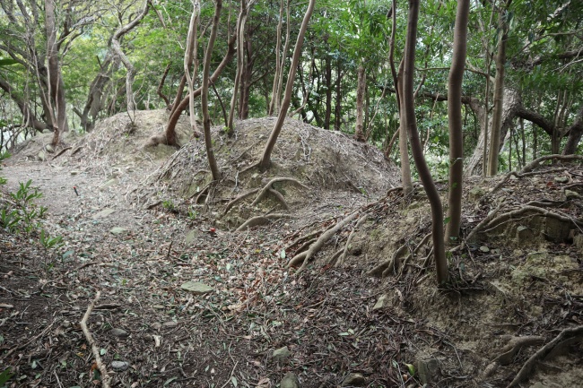 畝状竪堀群のコブコブ