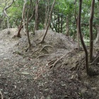 畝状竪堀群のコブコブ