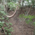 北面上段の堀切からの空堀