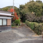 ここの奥のようなのだが･･･