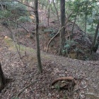 美しいフォルムの土橋