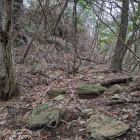 石が転がっている