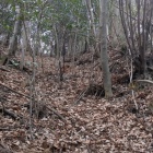 堀切から落ちる竪堀