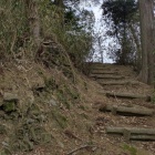 神社背後の丘へ