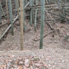 堀切を曲輪から見下ろす