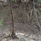 大堀切を上から