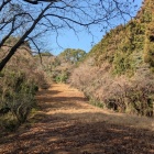 茶臼が森へ続く曲輪