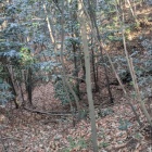 櫓台先の曲輪から落ちる竪堀