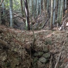 南に落ちる竪堀は横堀と交差、石積も