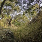 二ノ段の堀切、井戸もある