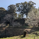 カーブを描く帯曲輪