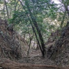 北側斜面の二重竪堀の一条