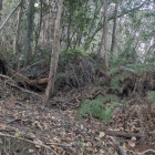 登城路に沿った竪堀