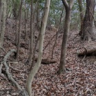 主郭南西部の堀切