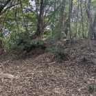 主郭南側の土塁