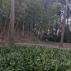 北曲輪と主郭の切岸